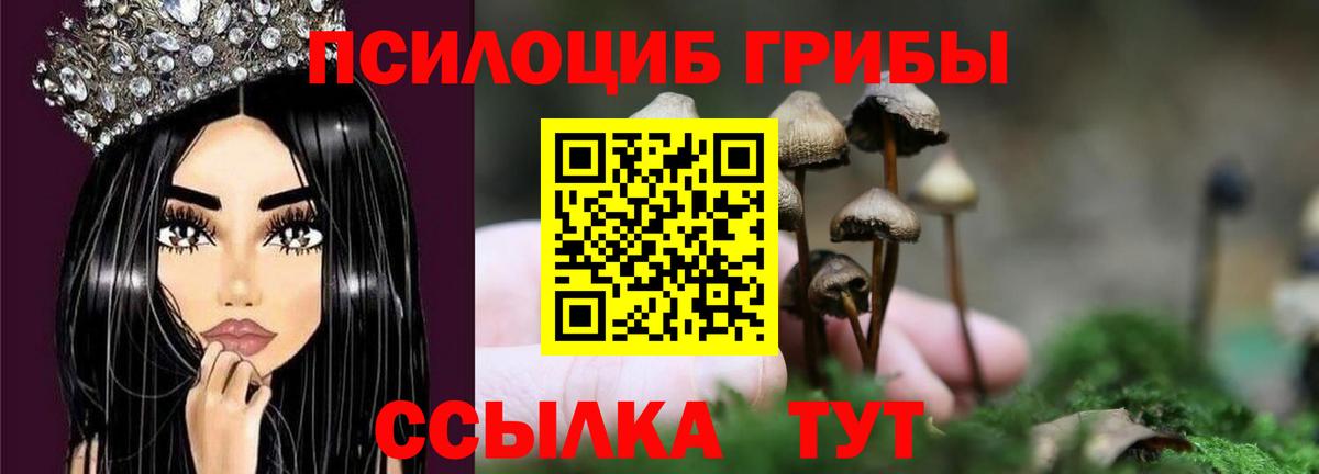 Галлюциногенные грибы MAGIC MUSHROOMS Саяногорск